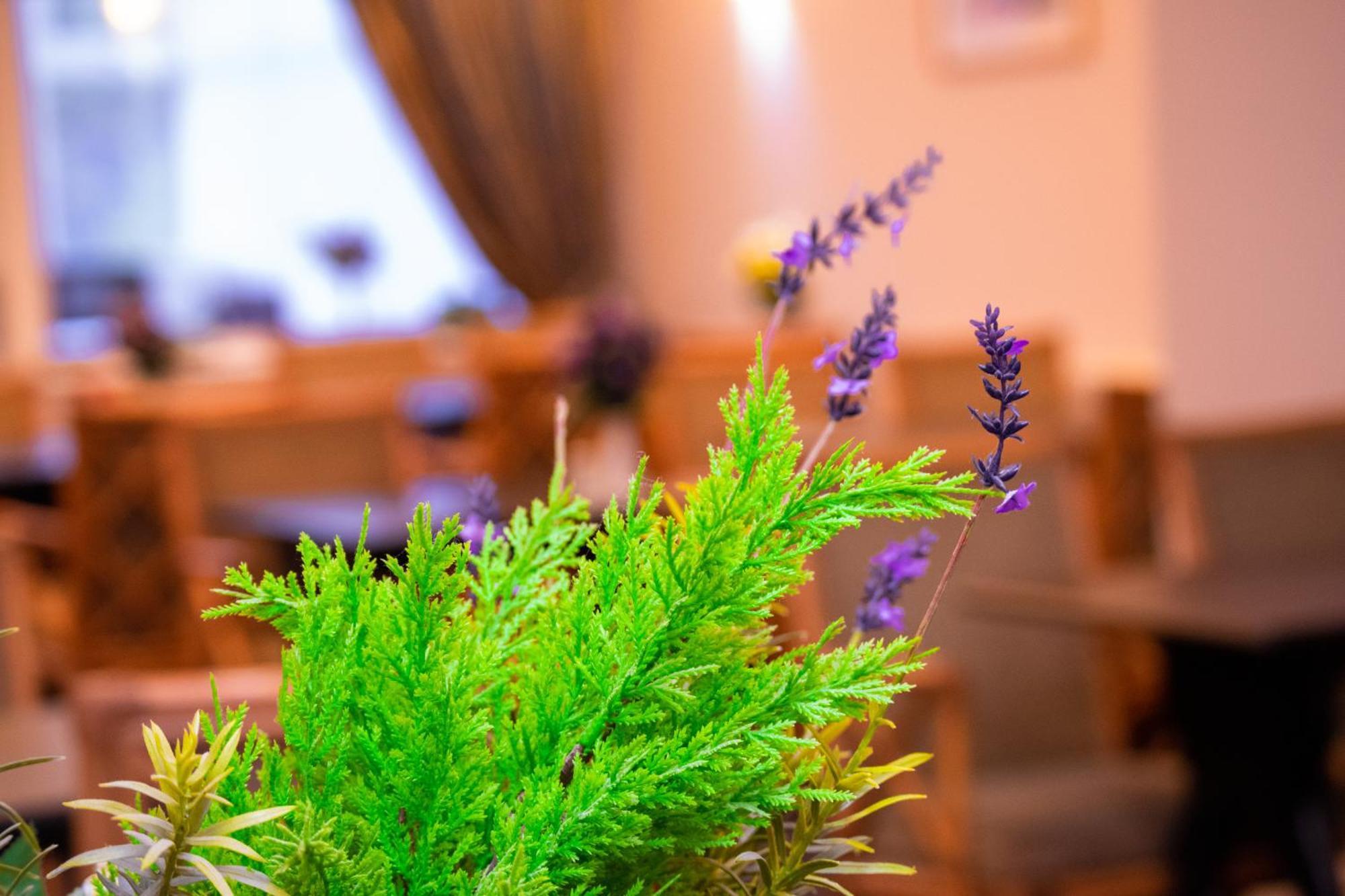Royal Square Hotel - Nec & Birmingham Airport Marston Green Dış mekan fotoğraf